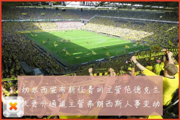 切尔西宣布新任青训主管范德克兰及晋升通道主管弗朗西斯人事变动