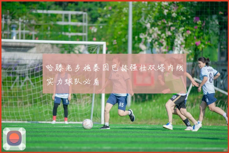 哈滕老乡施泰因巴赫强壮双塔内线实力球队必看